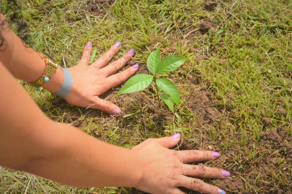 Dia Mundial da Terra
