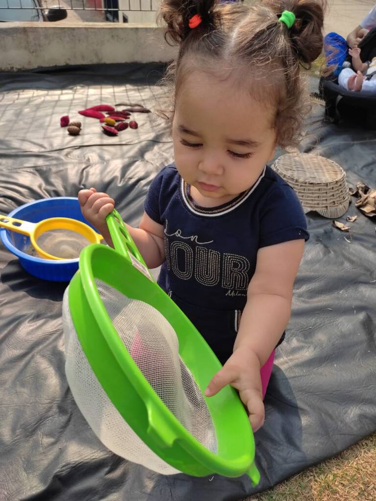 Quintal de experimentos