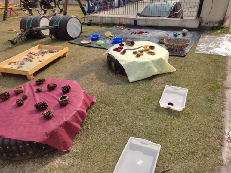 Quintal de experimentos