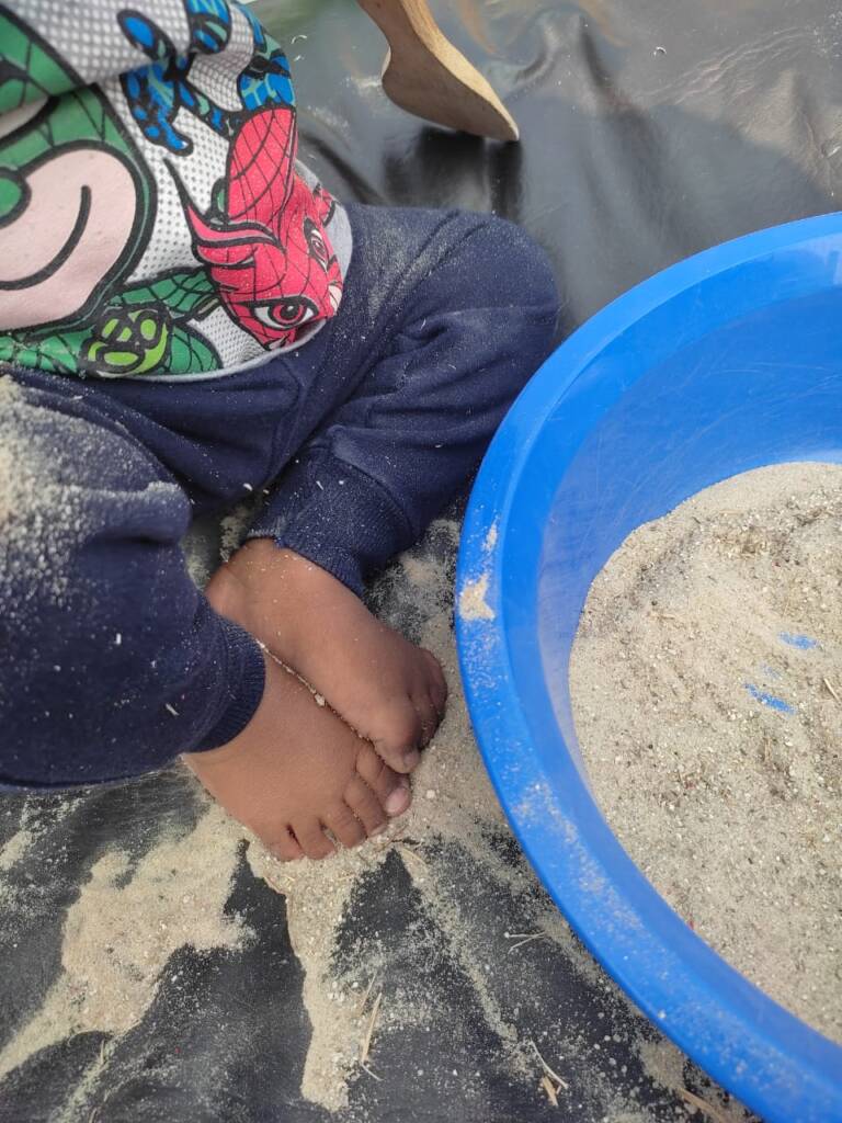 Quintal de experimentos