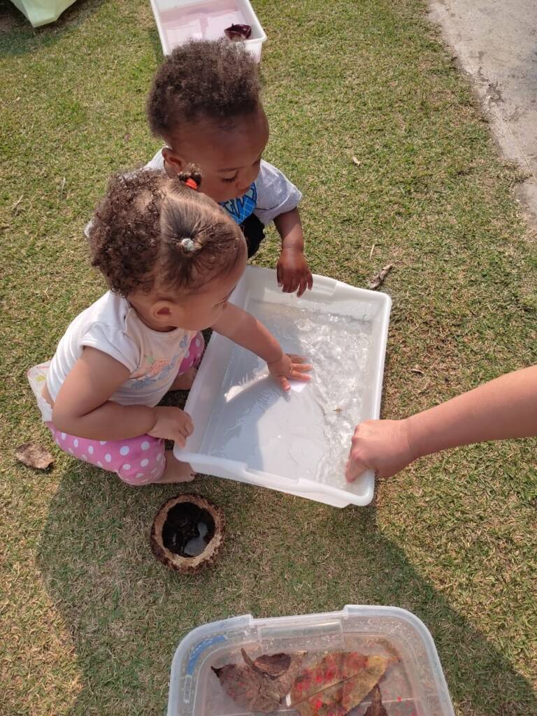 Quintal de experimentos