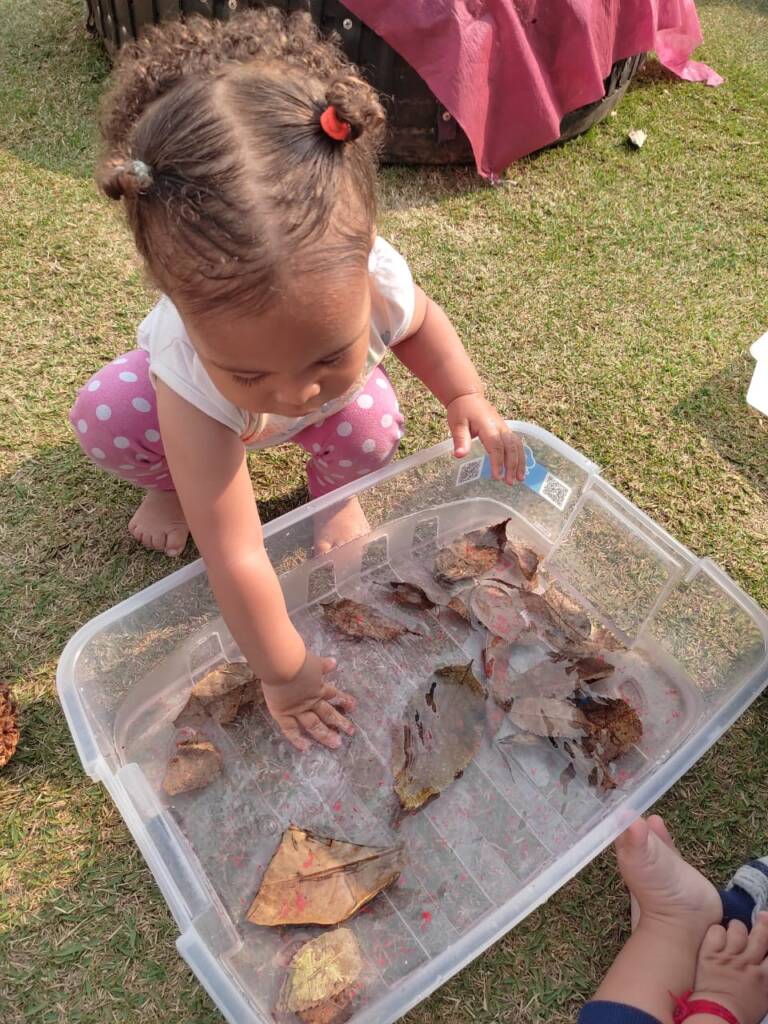 Quintal de experimentos