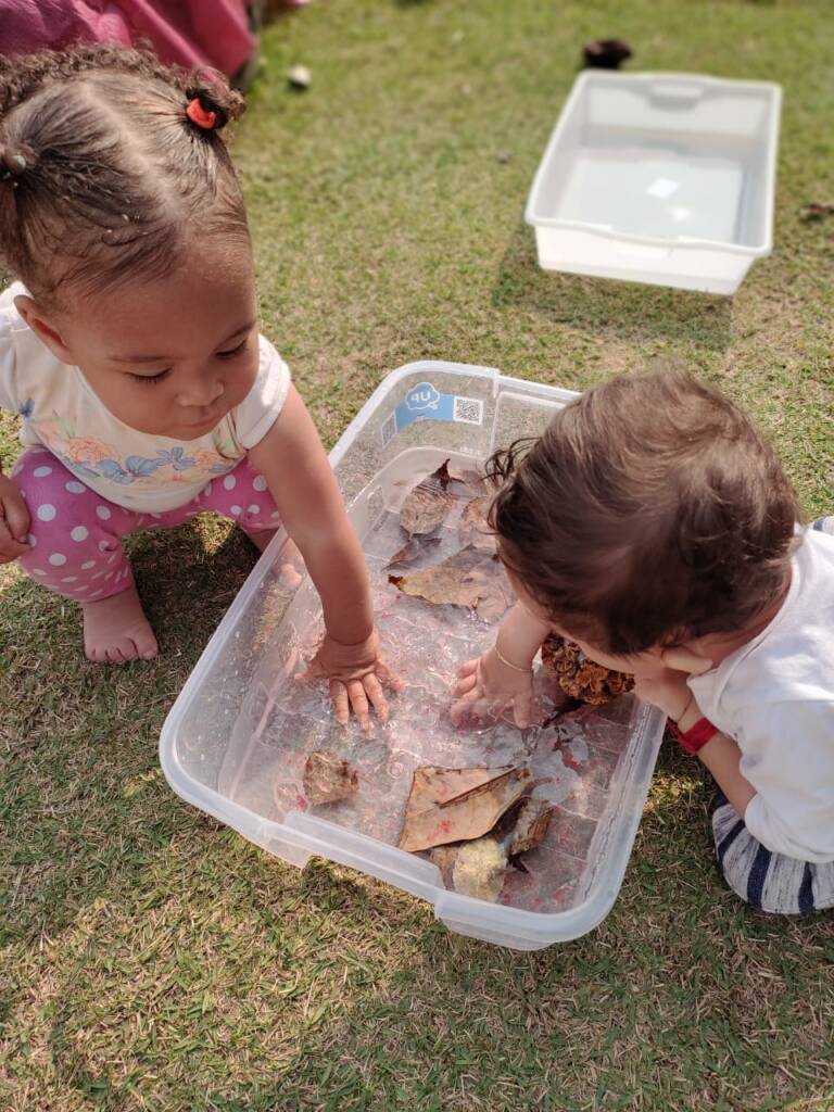 Quintal de experimentos