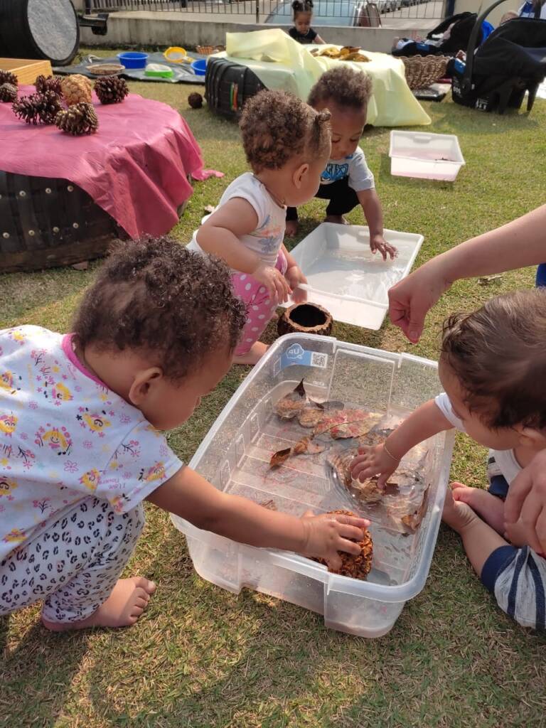 Quintal de experimentos